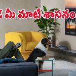 Voice Search TVs: అమెజాన్‌లో వాయిస్‌ సెర్చ్ ఫీచర్లతో బెస్ట్ 4K టీవీలు.. చిటికెలో మీకు నచ్చిన కంటెంట్!
