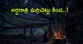 ఇరాన్ యుద్ధంతో అమెరికా ఖజానా ఖాళీ.. నెల రోజుల్లోనే రూ.2.63 లక్షల కోట్లు హాంఫట్!