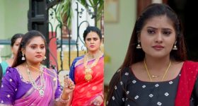 Illu Illaalu Pillalu Amulya : 'ఇల్లు ఇల్లాలు పిల్లలు ' అమూల్య బ్యాగ్రౌండ్ తెలిస్తే ఔరా అన్నాల్సిందే..
