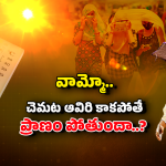Wet-Bulb Temperature: ఎన్నడూ చూడని  ఎండ! కొత్త రిసెర్చ్‌లో షాకింగ్ విషయాలు