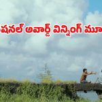 Family Drama OTT: పల్లెటూరి అందాలను ప్రేమించే పదకొండేళ్ల పిల్లాడు… ఐయండిబిలో 7.8 రేటింగ్…ఫ్యామిలీతో చూడాల్సిన సినిమా
