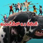 Malayalam Movie OTT : మలయాళం సూపర్ హిట్ మూవీ ఓటీటీలోకి… కడుపుబ్బా నవ్వించే డాల్మేషియన్ కుక్క