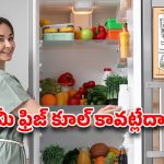 Fridge Problems: మీ ఫ్రిజ్ కూల్ కావట్లేదా? పాడవడానికి ముందు వచ్చే  డేంజర్ సిగ్నల్స్!