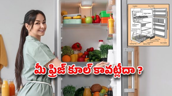 Fridge Problems: మీ ఫ్రిజ్ కూల్ కావట్లేదా? పాడవడానికి ముందు వచ్చే  డేంజర్ సిగ్నల్స్!