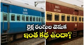 Indian Train:  రంగు రంగుల రైళ్లు.. ఒక్కో కలర్ వెనక ఒక్కో కథ!