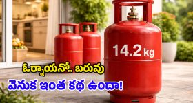 LPG Weight: సిలిండర్ బరువు 14.2 కేజీలే ఎందుకు? ఎప్పుడైనా ఆలోచించారా? మ్యాటర్ తెలిస్తే అవాక్కవుతారు!
