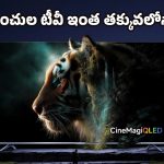 Xiaomi X Pro QLED TV: భారీ డిస్కౌంట్‌తో షావోమీ 75 ఇంచుల టీవీ లాంచ్.. 4 ఏళ్ల వారంటీ ఉచితం!