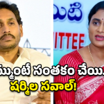 YS Sharmila: వైసీపీకి మైండ్ బ్లాక్ అయ్యే సవాల్..  షర్మిల స్కెచ్ మామూలుగా లేదుగా!