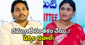 YS Sharmila: వైసీపీకి మైండ్ బ్లాక్ అయ్యే సవాల్..  షర్మిల స్కెచ్ మామూలుగా లేదుగా!