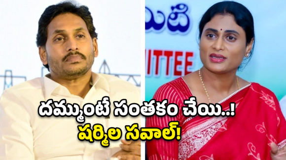 YS Sharmila: వైసీపీకి మైండ్ బ్లాక్ అయ్యే సవాల్..  షర్మిల స్కెచ్ మామూలుగా లేదుగా!