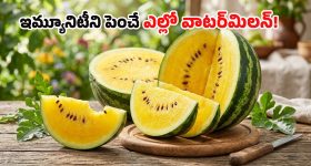 Yo Yo Honey Singh Concert: యో యో హనీ సింగ్ ఢిల్లీ కన్సర్ట్‌లో రభస.. అభిమానుల మధ్య చెలరేగిన ఘర్షణ..