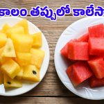 Yellow vs Red Watermelon: ఏ రంగు పుచ్చకాయలో పోషకాలు అధికం? ఏది తింటే ఆరోగ్యానికి ఎక్కువ లాభం?