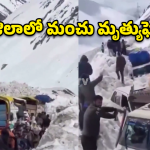 Zojila Avalanche: జోజిలాలో మృత్యు మంచు.. 15 వాహనాలు సమాధి.. ఏడుగురు బలి!