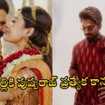 Allu Arjun -Virosh: విరోష్ వెడ్డింగ్ రిసెప్షన్.. బిగ్ సర్ ప్రైజ్ ప్లాన్ చేసిన అల్లు అర్జున్.. తగ్గేదే లేదంటూ