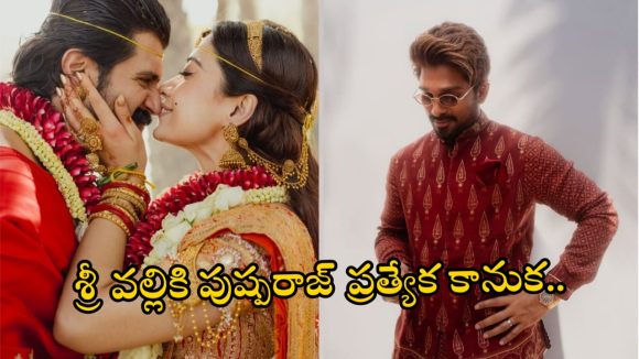 Allu Arjun -Virosh: విరోష్ వెడ్డింగ్ రిసెప్షన్.. బిగ్ సర్ ప్రైజ్ ప్లాన్ చేసిన అల్లు అర్జున్.. తగ్గేదే లేదంటూ