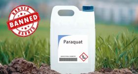 Paraquat Ban: అసెంబ్లీలో గడ్డి, కలుపు మందు పై చర్చ వచ్చేలా చూస్తాం: కోదండ రెడ్డి