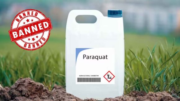 Paraquat Ban: అసెంబ్లీలో గడ్డి, కలుపు మందు పై చర్చ వచ్చేలా చూస్తాం: కోదండ రెడ్డి
