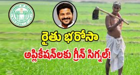 SRH-Kavya Maran: కావ్యకు బెదింపులు.. SRH మ్యాచ్ ఎక్క‌డ జ‌రిగినా చెప్పులతో దాడి చేస్తాం, అల్ల‌ర్లు సృష్టిస్తాం !
