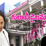 BRS Party: బీఆర్ఎస్ పార్టీ నుంచి రాజ్యసభ అభ్యర్థి ఎవరు.. నో చెప్పిన ఓ కీలక నేత..?