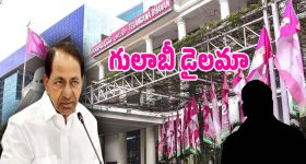 BRS Party: బీఆర్ఎస్ పార్టీ నుంచి రాజ్యసభ అభ్యర్థి ఎవరు.. నో చెప్పిన ఓ కీలక నేత..?