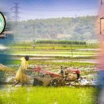 TG Budget 2026: రాష్ట్రంలో కీరోల్ పోషించే రంగాల్లో బడ్జెట్ కేటాయింపులు.. తగ్గినవి పెరిగినవి ఇవే..?