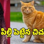 Student Suicide: పిల్లి పెట్టిన చిచ్చు.. సూసైడ్ చేసుకున్న ఎంబీబీఎస్ విద్యార్దిని..!