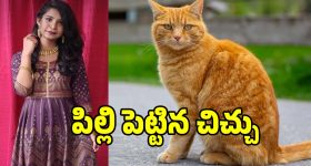 Telangana Budget: బడ్జెట్ అంతా ఓకే గానీ.. పాపం మూడు కార్పొరేషన్ల పరిస్థితే.. అగమ్య గోచరం!