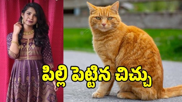 Student Suicide: పిల్లి పెట్టిన చిచ్చు.. సూసైడ్ చేసుకున్న ఎంబీబీఎస్ విద్యార్దిని..!