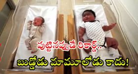 Giant Baby: పుట్టినప్పుడే 6 కిలోలు.. ఈ బుజ్జోడు మామూలోడు కాదు బాబోయ్!