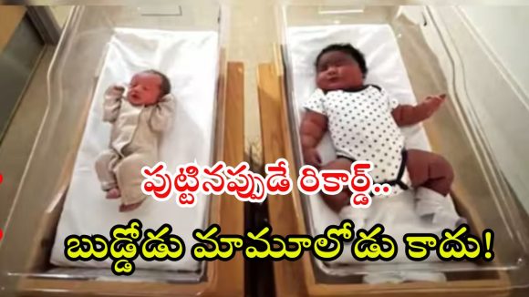 Giant Baby: పుట్టినప్పుడే 6 కిలోలు.. ఈ బుజ్జోడు మామూలోడు కాదు బాబోయ్!