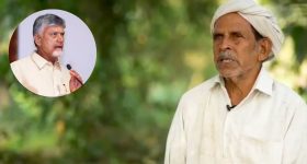 Guntur Farmer Roshaiah: 30 గుంటల భూమిలో  52 రకాల పంటలు.. రైతు రోశయ్యపై చంద్రబాబు ప్రశంసలు!