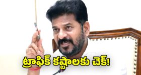CM Revanth Reddy: హైదరాబాద్ నగర జీవన ప్రమాణాలు మెరుగుపరుస్తాం.. శాసన మండలిలో సీఎం రేవంత్ రెడ్డి