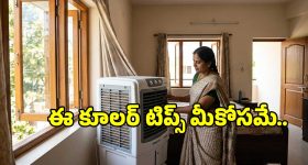 Cooler Tips: కూలర్ మీ ఇంట్లో అక్కడ పెడితే పొరపాటే?.. వాడేటప్పుడు ఈ పనులు అస్సలు చేయకండి..