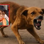 Dog Bite: కుక్క కాటుకు గురై 15 నెలల తర్వాత బాలుడు మృతి