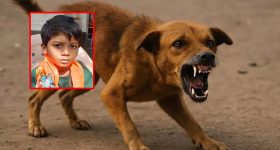 Actress Pruthvi Raj : పెళ్లిపీటలు ఎక్కబోతున్న పృథ్వి.. విష్ణు ప్రియా మాత్రం కాదు..