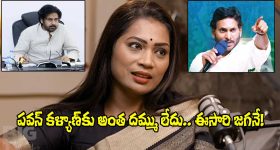 Duvvada Madhuri: వాళ్లంతా జెండా కూలీలే.. ఈసారి ఎన్నికల్లో గెలిచేది ఎవరంటే?