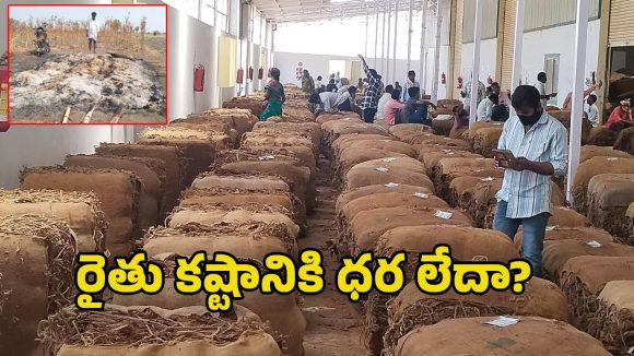 Tobacco Farmers: పొగాకు రైతుల కష్టానికి న్యాయం ఎక్కడ? లక్షల పెట్టుబడి.. చివరికి మంటల్లో పంట!