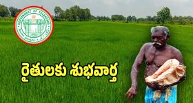 Kukatpally: కారం కొట్టారు.. కోటి కొట్టేశారు.. పట్టపగలే దొంగల బీభత్సం, ఇదిగో వీడియో