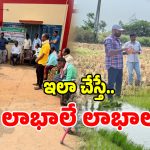 Natural Farming: గుడ్ న్యూస్.. సేంద్రీయ వ్యవసాయం పై రైతులకు శిక్షణ..!