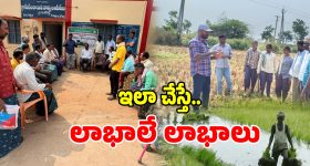 Natural Farming: గుడ్ న్యూస్.. సేంద్రీయ వ్యవసాయం పై రైతులకు శిక్షణ..!