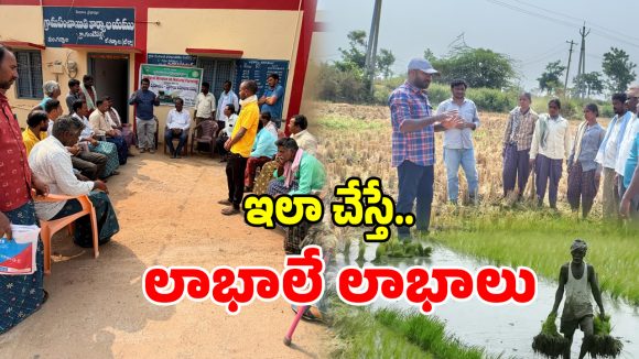 Natural Farming: గుడ్ న్యూస్.. సేంద్రీయ వ్యవసాయం పై రైతులకు శిక్షణ..!