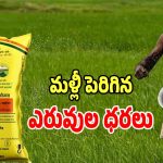 Fertilizer Prices: మళ్లీ పెరిగిన ఎరువుల ధరలు.. ఆందోళనలో అన్నదాతలు..?
