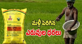 Fertilizer Prices: మళ్లీ పెరిగిన ఎరువుల ధరలు.. ఆందోళనలో అన్నదాతలు..?