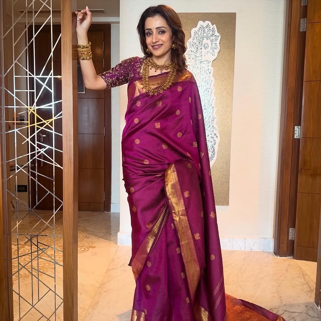 Trisha Krishnan ( Source/ Instagram) Trisha Krishnan Photo Gallery
