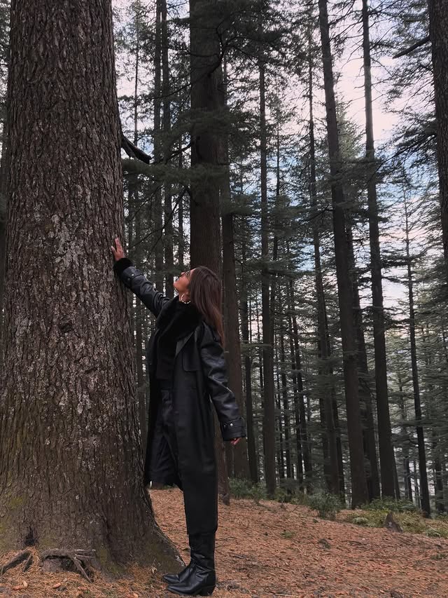 Kavya Thapar ( Source / Instagram ) Kavya Thapar photo Gallery