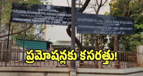 Panchayat Raj: గుడ్ న్యూస్.. పంచాయతీ రాజ్ శాఖలో ప్రమోషన్లు!