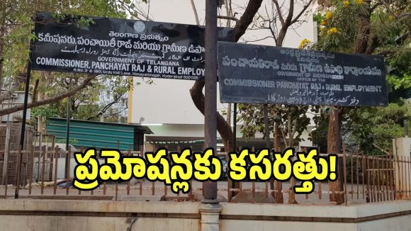 Panchayat Raj: గుడ్ న్యూస్.. పంచాయతీ రాజ్ శాఖలో ప్రమోషన్లు!