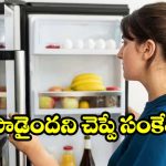 Fridge: ఫ్రిజ్ రిపేర్ చేయించాలా లేక కొత్తది కొనాలా? ఈ 10 పాయింట్లు చూస్తే ఫుల్ క్లారిటీ