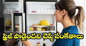 Fridge: ఫ్రిజ్ రిపేర్ చేయించాలా లేక కొత్తది కొనాలా? ఈ 10 పాయింట్లు చూస్తే ఫుల్ క్లారిటీ