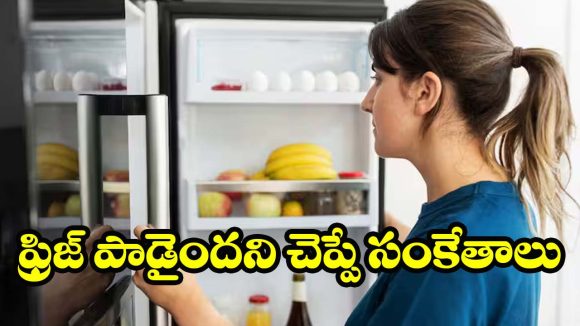 Fridge: ఫ్రిజ్ రిపేర్ చేయించాలా లేక కొత్తది కొనాలా? ఈ 10 పాయింట్లు చూస్తే ఫుల్ క్లారిటీ